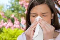Аллергия - причина бронхиальной астмы