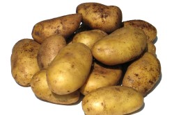 Польза картофеля при бронхите