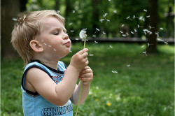 Развитие аллергического ларинготрахеита у детей
