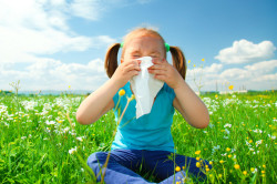 Аллергия - причина появления обструктивного бронхита