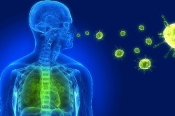 Вирусы провоцирующие пневмонию 