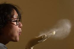 Вред пыль при бронхиальной астме