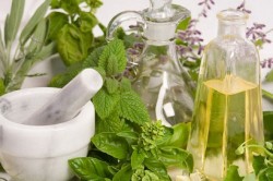 Лекарственные растения для лечения кашля