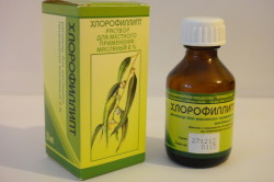 Хлорофиллипт для лечения горла