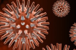 Вирус герпеса - причина ангины