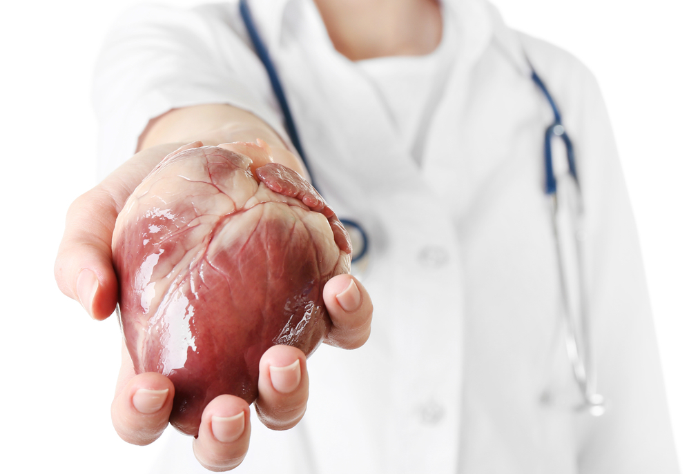 трансплантація серця людині